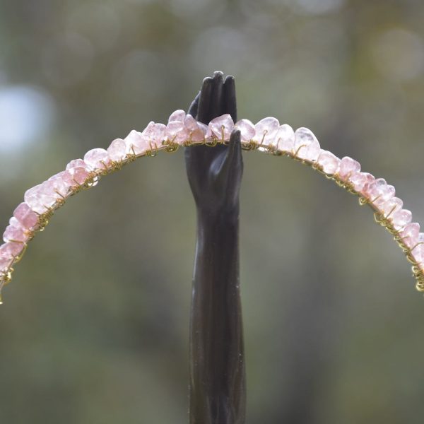 DIADEMAROSAANTIGUO_GRAELLSIA2